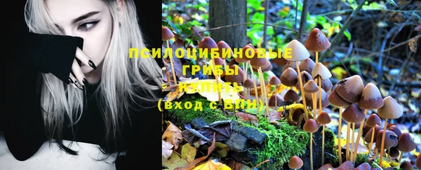 кокс Зерноград