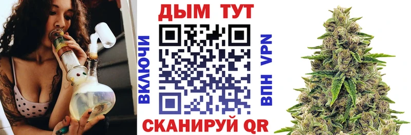 Каннабис Amnesia  Купить  Гатчина 